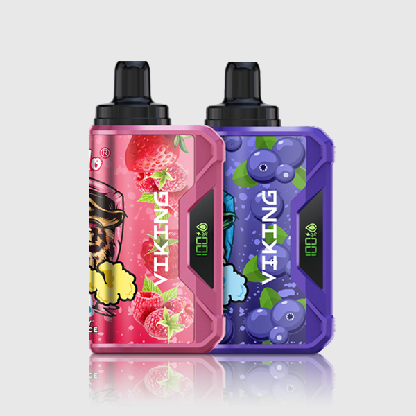 VapSolo VIKING 12000 Puffs - Pack 2 items | VAPE WAREHOUSE